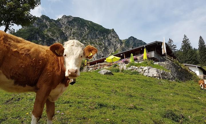 WuhrsteinAlm